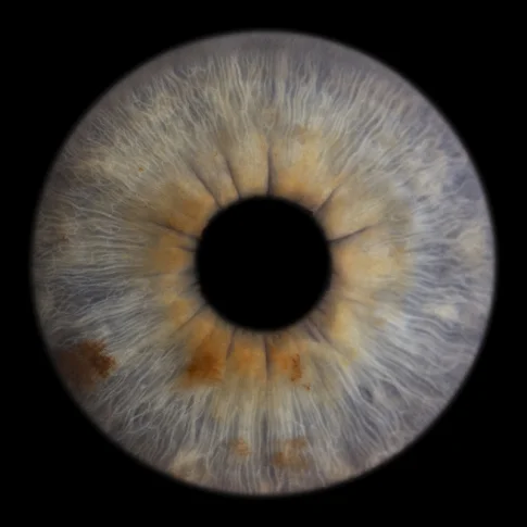 Профессиональное фото радужки глаза