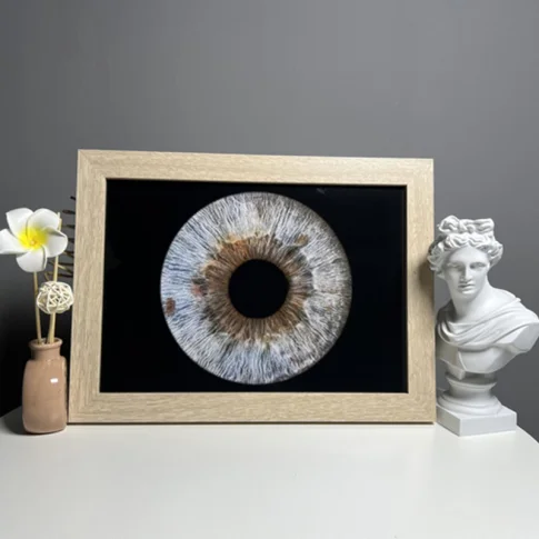 Профессиональное фото радужки глаза