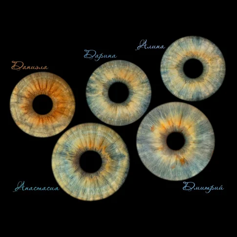 Профессиональное фото радужки глаза