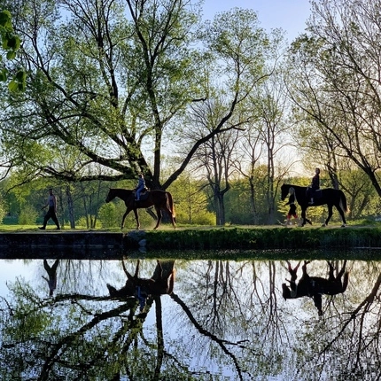 Свидание на конях в великолепном Петергофе