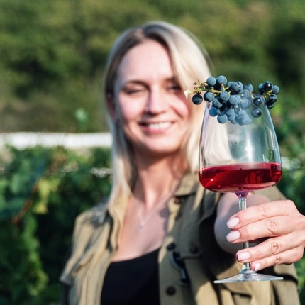 Базовый винный курс с иностранными виноделами