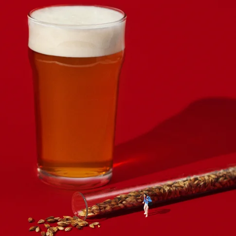 Мастер-класс по пивоварению